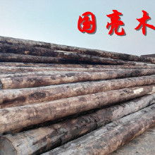 落葉松木木材的市場分析與應用前景