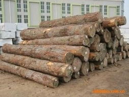 泰和縣方圓木業原木產品列表 精選優質木材，打造自然之美